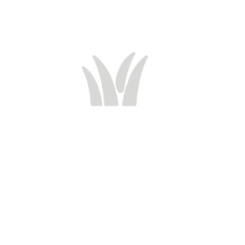 Logo agroalimentaria PORTADA